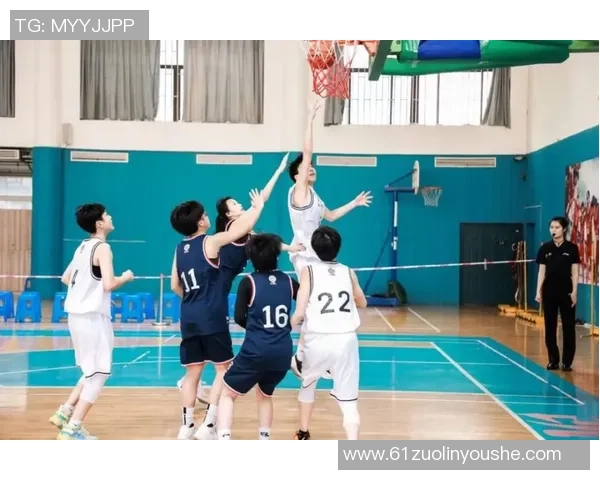 南京篮球队的意识提升与团队精神建设探讨